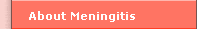 About Meningitis